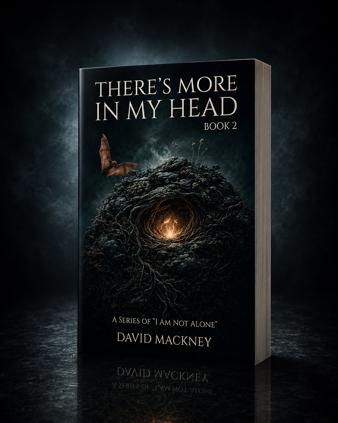 There’s More In My Head — Book Two, I Am Not Alone series by David Mackney